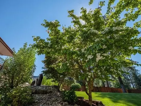 4730 E Pineglen Ln, Mead, WA 99021 photo 38