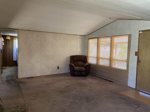 4420 E Colbert Rd, Colbert, WA 99005 photo 14