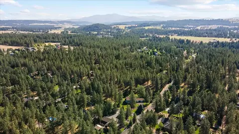 3403 E Bridle Trail Rd, Colbert, WA 99005 photo 43