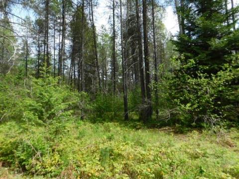462 E Joyner Dr, Cusick, WA 99119 photo 12