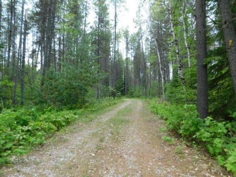 462 E Joyner Dr, Cusick, WA 99119 photo 19