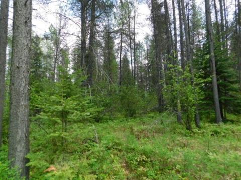 462 E Joyner Dr, Cusick, WA 99119 photo 17