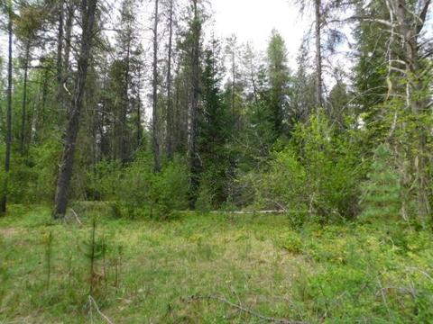 462 E Joyner Dr, Cusick, WA 99119 photo 14