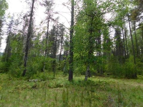 462 E Joyner Dr, Cusick, WA 99119 photo 15