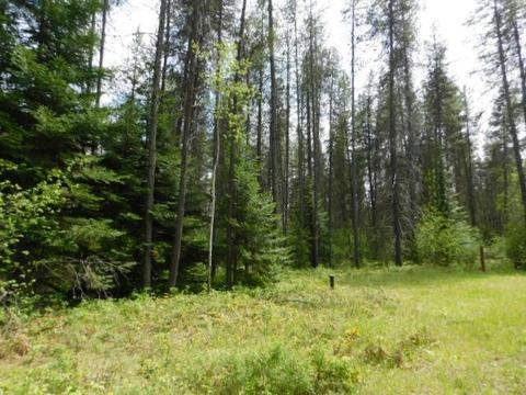 462 E Joyner Dr, Cusick, WA 99119 photo 13