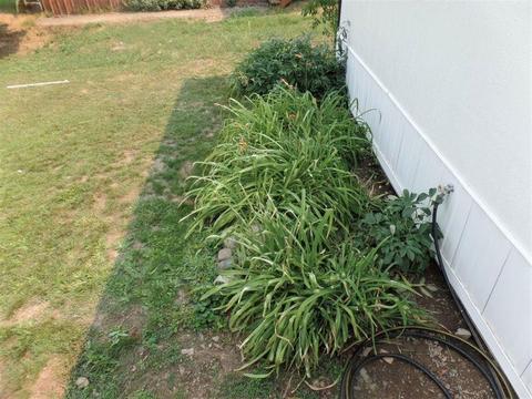 1312 Cider St, Marcus, WA 99151 photo 33