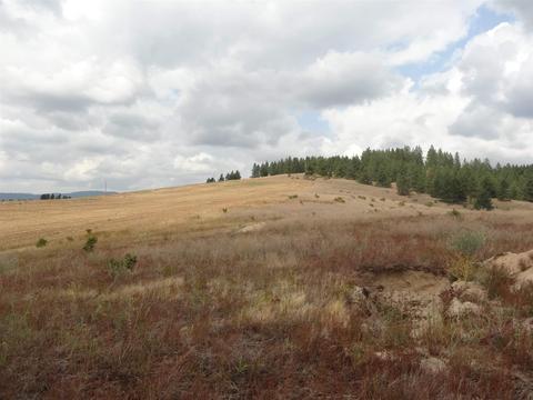 26207 Elder Rd, Spokane, WA 99030 photo 20