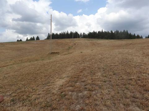 26207 Elder Rd, Spokane, WA 99030 photo 18