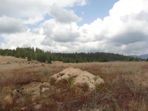 26207 Elder Rd, Spokane, WA 99030 photo 16