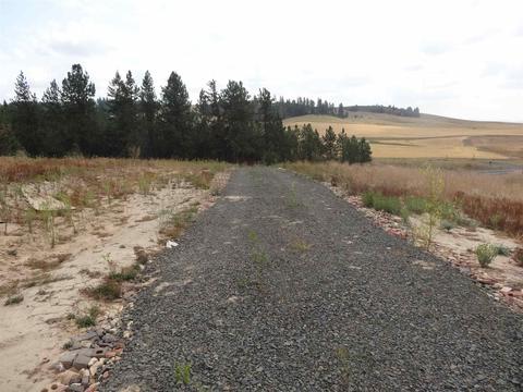 26207 Elder Rd, Spokane, WA 99030 photo 6