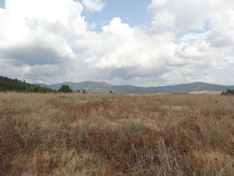 26207 Elder Rd, Spokane, WA 99030 photo 17