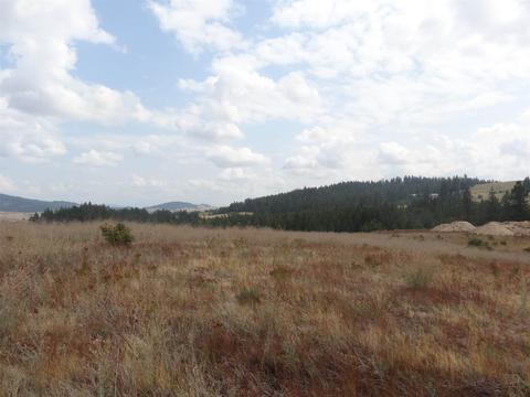 26207 Elder Rd, Spokane, WA 99030 photo 15