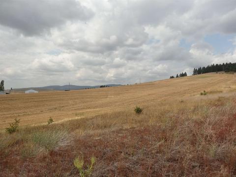 26207 Elder Rd, Spokane, WA 99030 photo 9