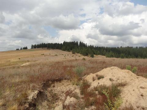 26207 Elder Rd, Spokane, WA 99030 photo 10
