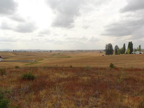 26207 Elder Rd, Spokane, WA 99030 photo 14