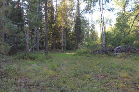 134 N Shadows Dr, Cusick, WA 99119 photo 11