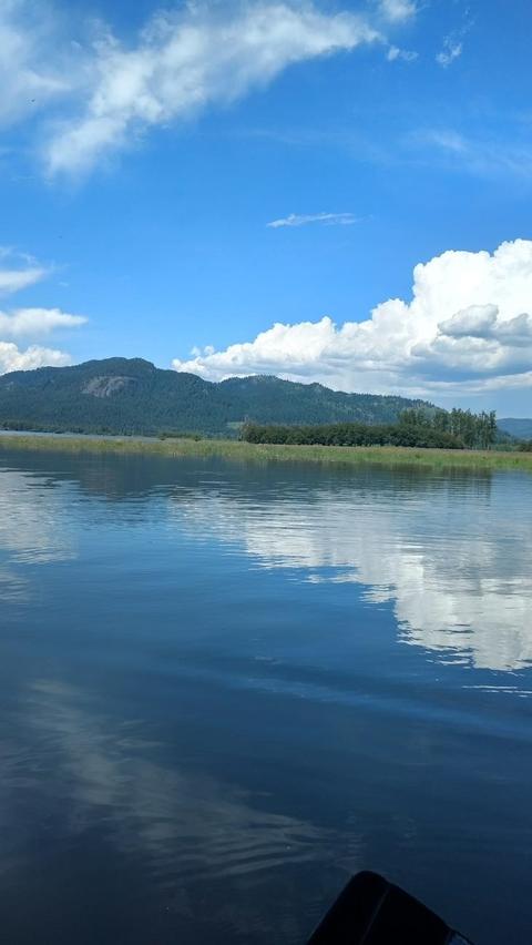 134 N Shadows Dr, Cusick, WA 99119 photo 2