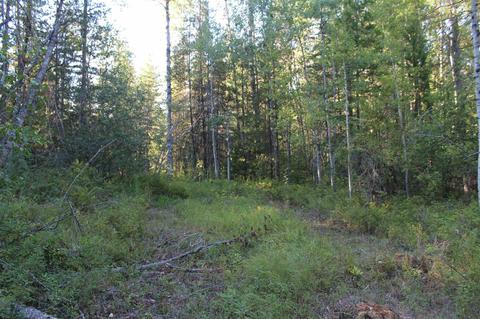 166 N Shadows Dr, Cusick, WA 99119 photo 1