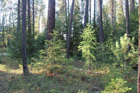 166 N Shadows Dr, Cusick, WA 99119 photo 7