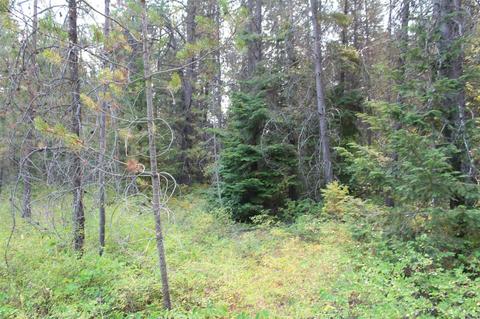 166 N Shadows Dr, Cusick, WA 99119 photo 9