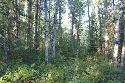 166 N Shadows Dr, Cusick, WA 99119 photo 8