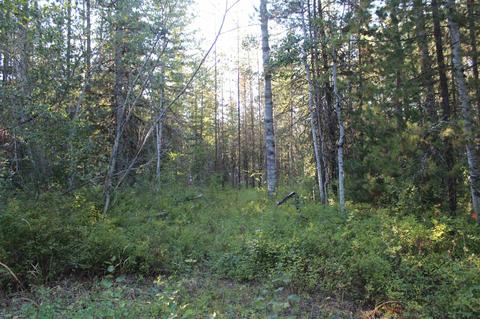 166 N Shadows Dr, Cusick, WA 99119 photo 4