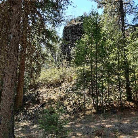 1811 E Midway Rd, Colbert, WA 99005 photo 12