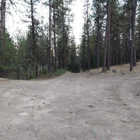 1811 E Midway Rd, Colbert, WA 99005 photo 11