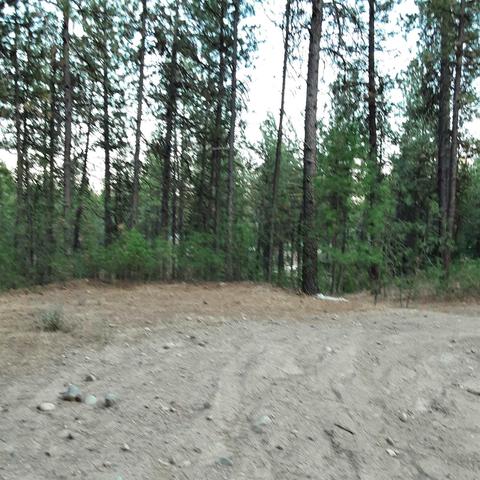 1811 E Midway Rd, Colbert, WA 99005 photo 9