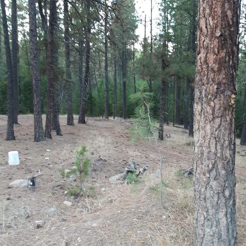1811 E Midway Rd, Colbert, WA 99005 photo 10