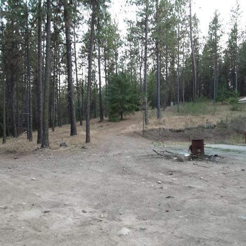 1811 E Midway Rd, Colbert, WA 99005 photo 8