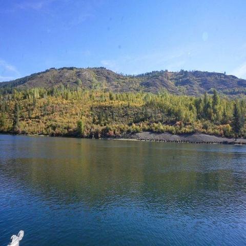 1061 E Joyner Dr, Cusick, WA 99119 photo 5