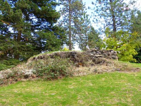 1005 E 30th Ave, Spokane, WA 99203 photo 7