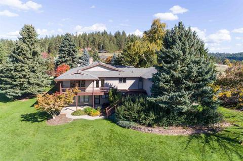 16112 N Greenbluff Rd, Colbert, WA 99005 photo 24