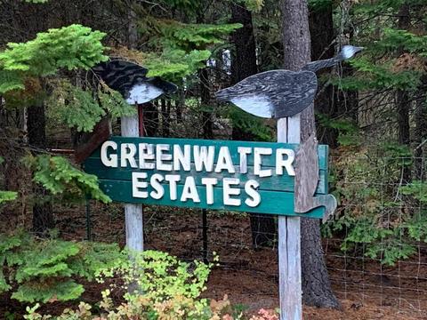 83 Patti Ln, Usk, WA 99180 photo 1