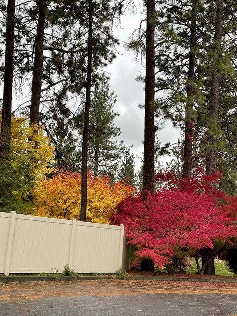 12818 E 23rd Ave, Spokane Valley, WA 99216 photo 36