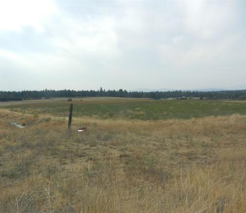 000 Elk Chattaroy Rd A Rd, Elk, WA 99009