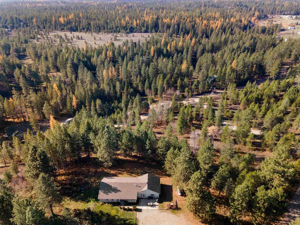  5301 Eloika Rd, Chattaroy, WA 99003 photo 33