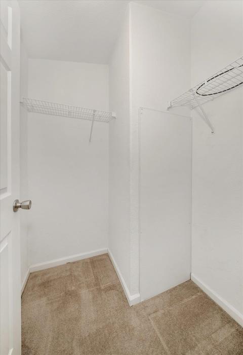 3728 E Colbert Rd, Colbert, WA 99005 photo 21