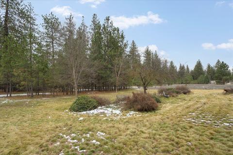 3728 E Colbert Rd, Colbert, WA 99005 photo 39