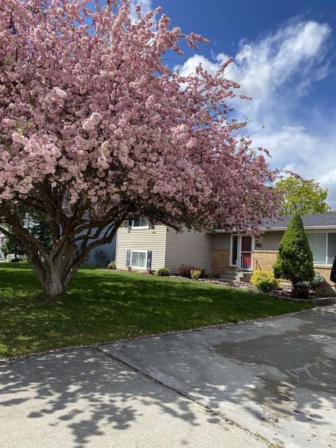 11205 E 34th Ave, Spokane Valley, WA 99206 photo 5