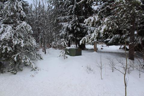 392582 Highway 20 Hwy, Cusick, WA 99119 photo 4