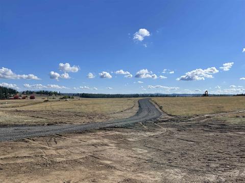 5920 E Fox Trot Ln, Colbert, WA 99005 photo 3