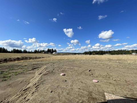 5920 E Fox Trot Ln, Colbert, WA 99005 photo 5