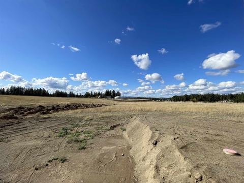 5920 E Fox Trot Ln, Colbert, WA 99005 photo 6