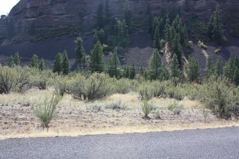 39095 N Sterling Valley Rd, Lincoln, WA 99147