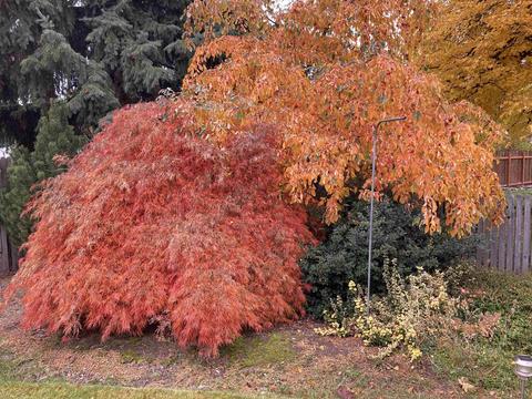 7615 E 10th Ave, Spokane Valley, WA 99212 photo 5