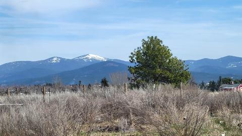 8808 E Greenbluff Rd, Colbert, WA 99005 photo 8