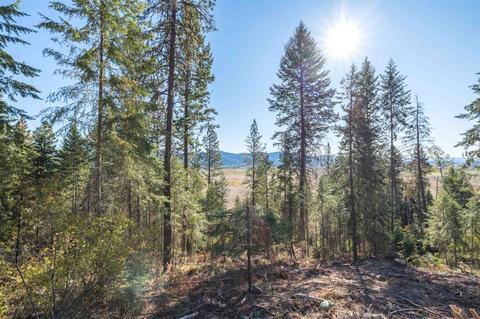 19489 Westside Calispel Rd, Cusick, WA 99119 photo 16