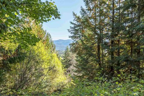 19489 Westside Calispel Rd, Cusick, WA 99119 photo 20
